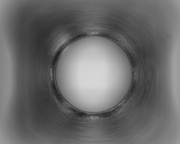 X0000116430598200912081222