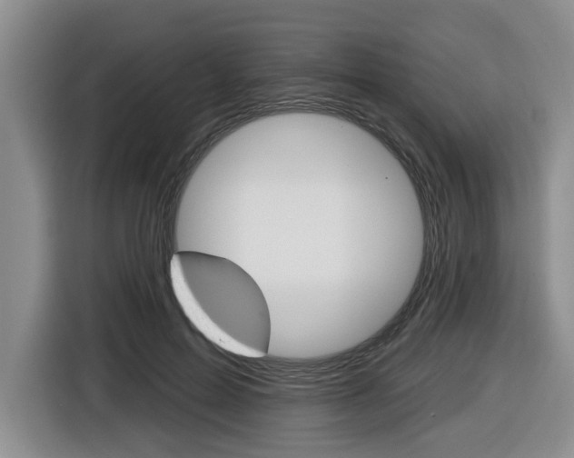 X0000116430599200912081222