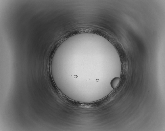 X0000116430602200912081222