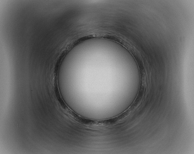 X0000116430604200912081222