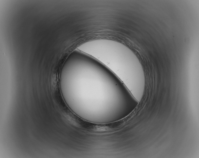 X0000116430605200912081222