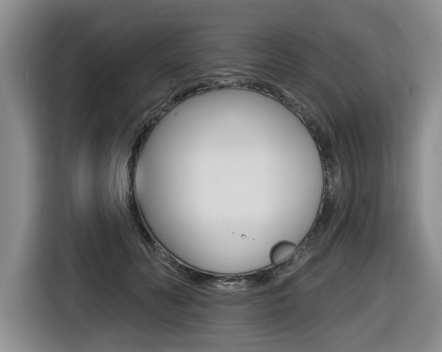 X0000116430606200912081222