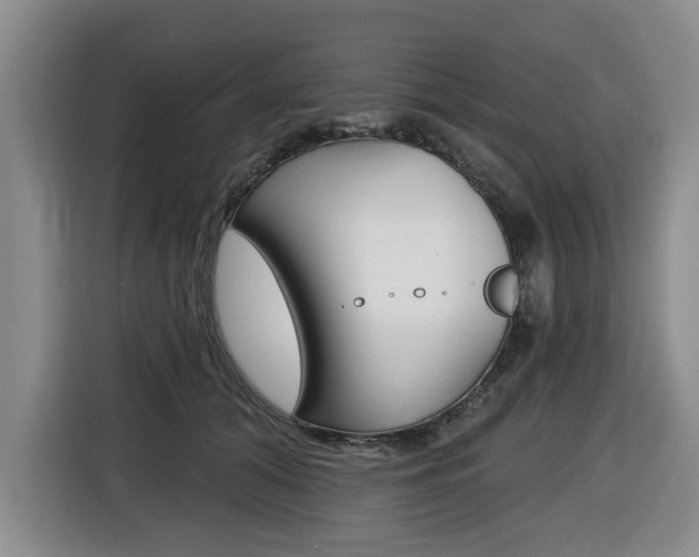 X0000116430608200912081222
