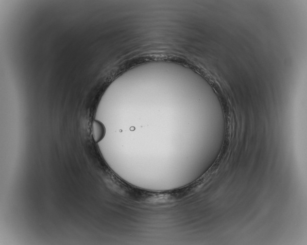 X0000116430609200912081222