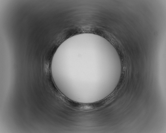 X0000116430610200912081222