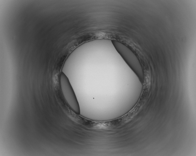 X0000116430611200912081222