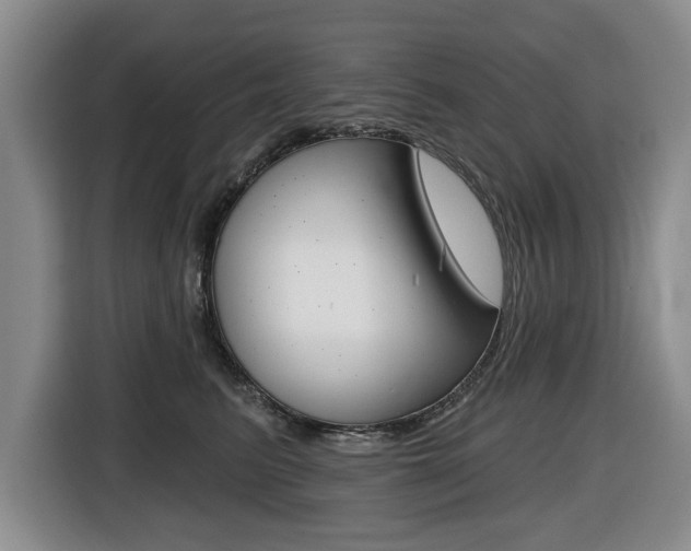 X0000116430615200912081222