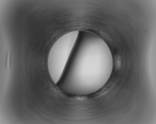 X0000116430619200912081222