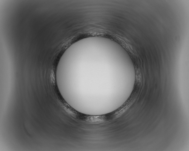 X0000116430622200912081222