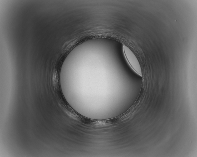 X0000116430623200912081222