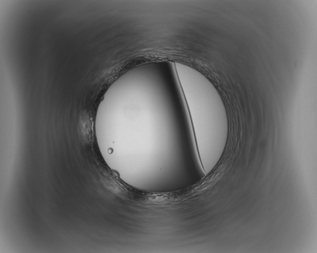 X0000116430624200912081222