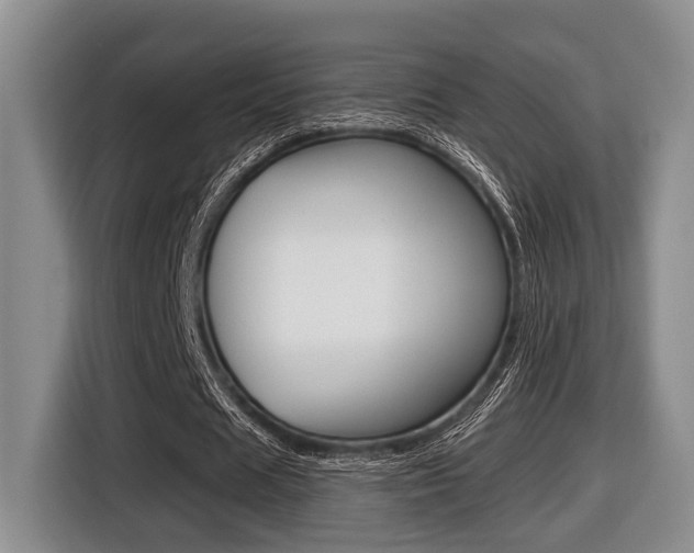 X0000116430625200912081221