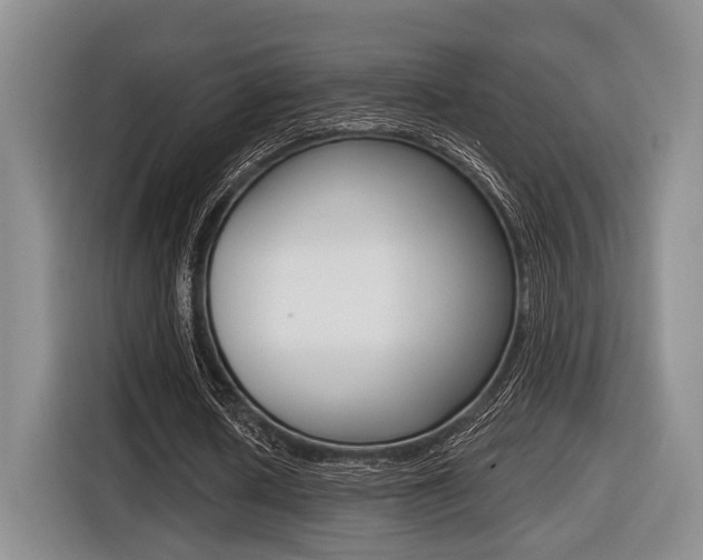 X0000116430626200912081221