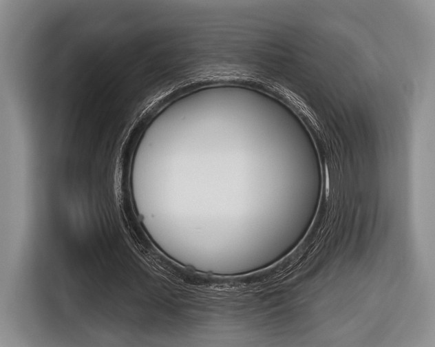 X0000116430627200912081221