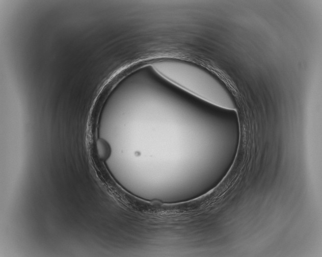 X0000116430628200912081221