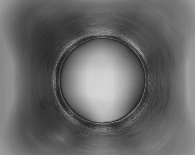 X0000116430629200912081221