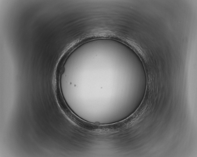 X0000116430630200912081221