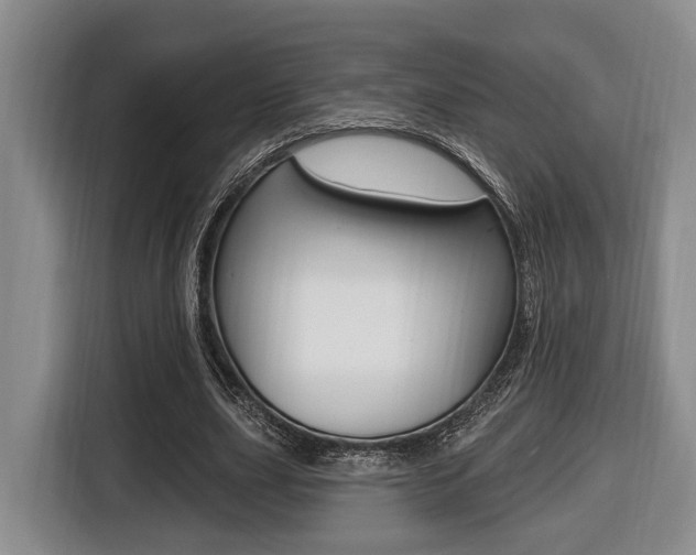 X0000116430631200912081221