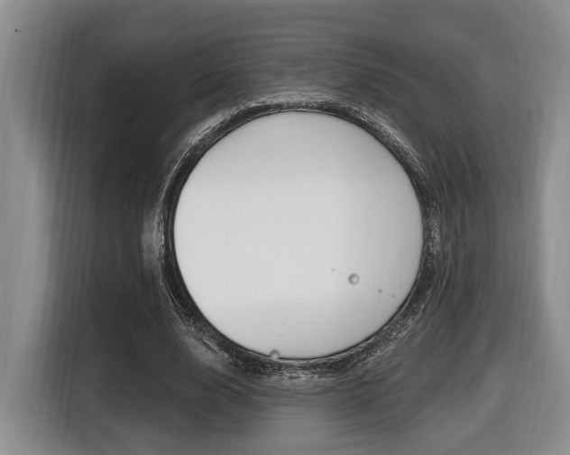 X0000116430632200912081221