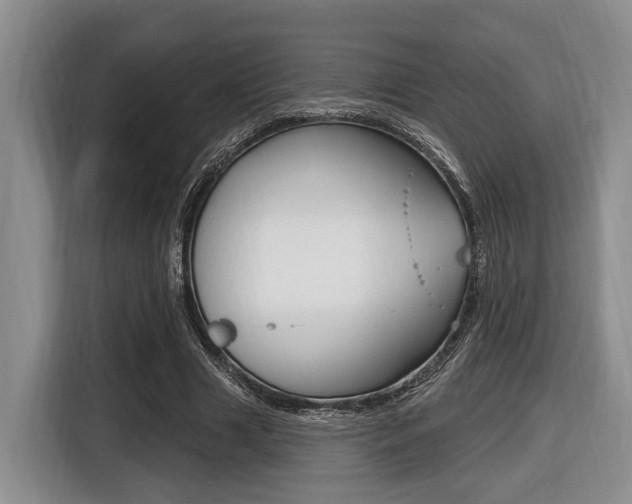 X0000116430633200912081221