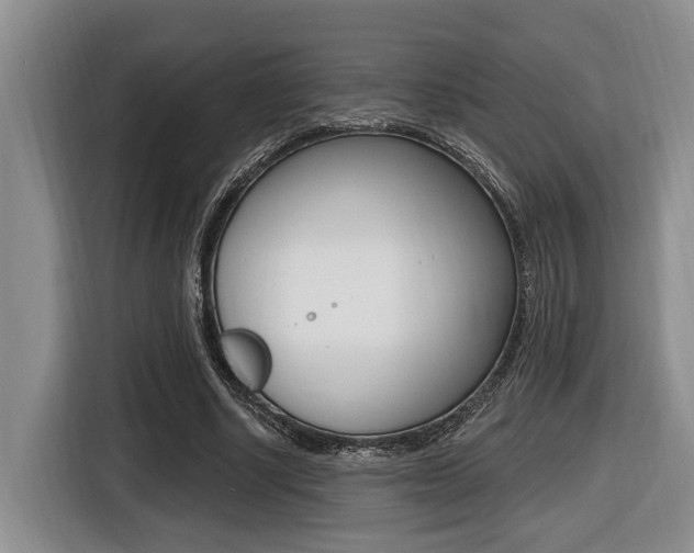 X0000116430634200912081221
