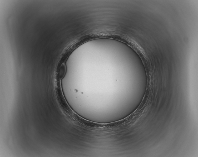 X0000116430635200912081221