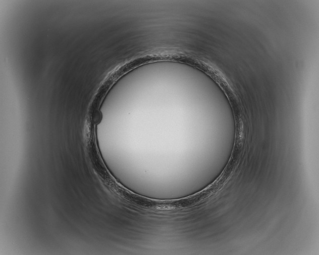 X0000116430636200912081221