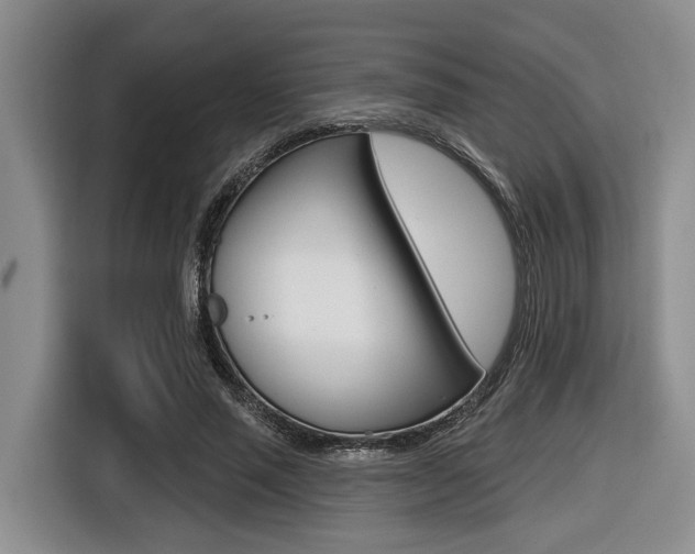 X0000116430637200912081221