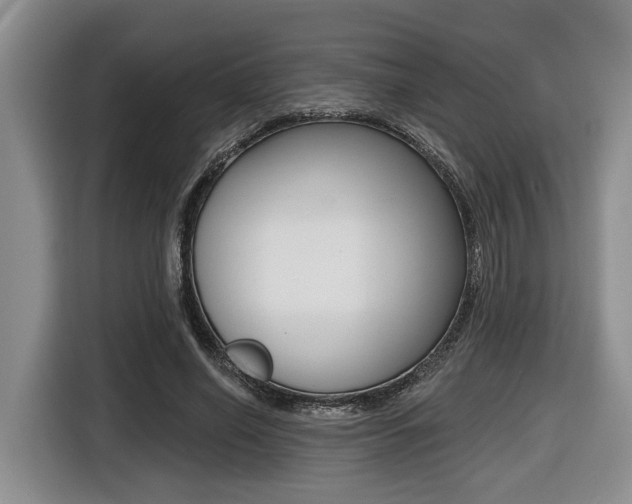 X0000116430638200912081221