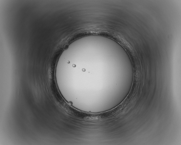 X0000116430639200912081221