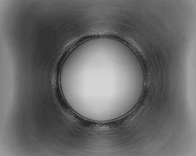 X0000116430640200912081221