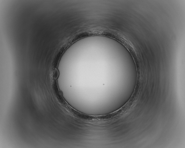 X0000116430641200912081221