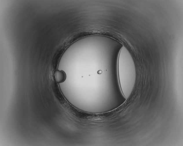 X0000116430643200912081221