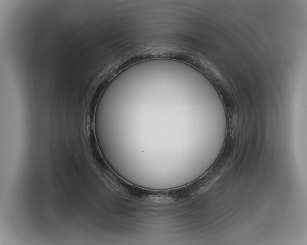 X0000116430644200912081221