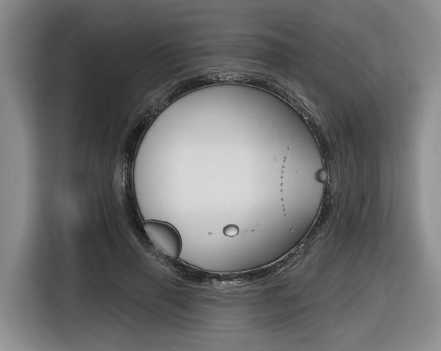 X0000116430645200912081221