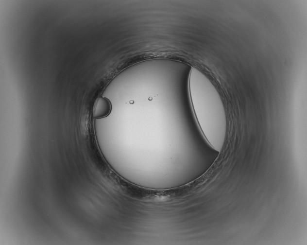 X0000116430647200912081221