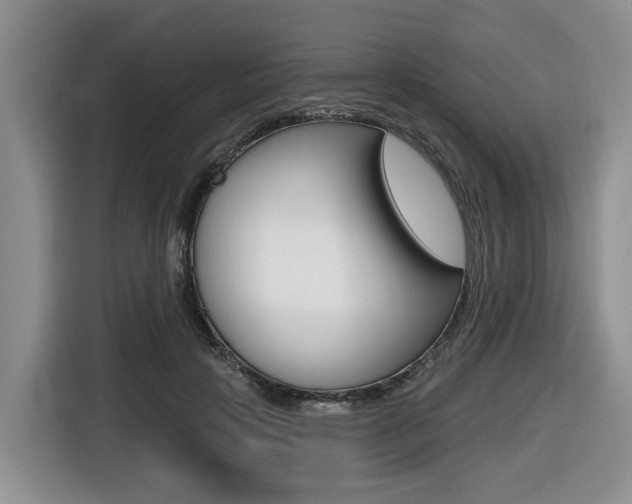 X0000116430649200912081221