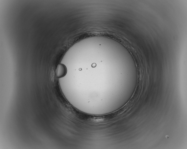 X0000116430651200912081221