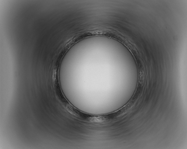 X0000116430652200912081221