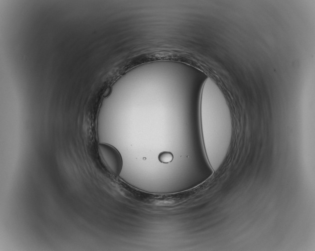 X0000116430653200912081221