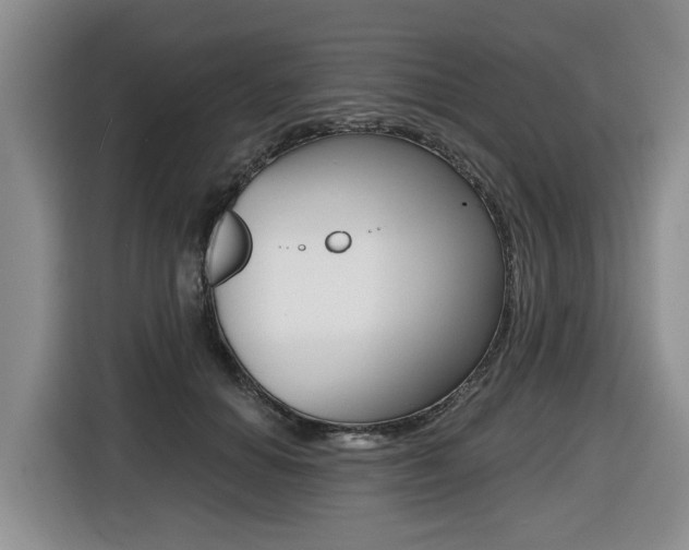 X0000116430654200912081221