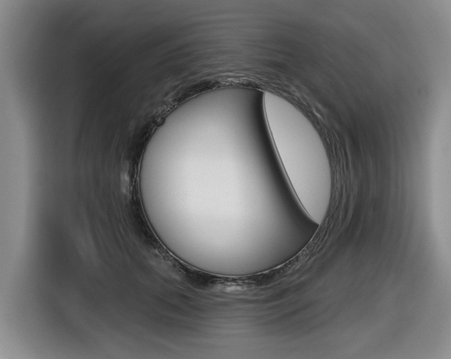 X0000116430655200912081221