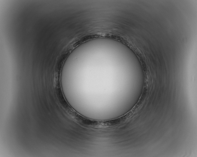 X0000116430656200912081221