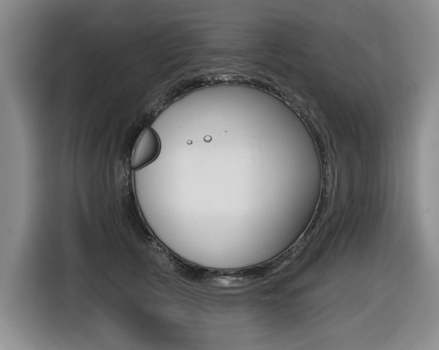 X0000116430657200912081221
