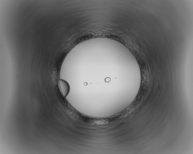 X0000116430659200912081221