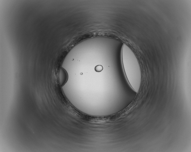 X0000116430661200912081221