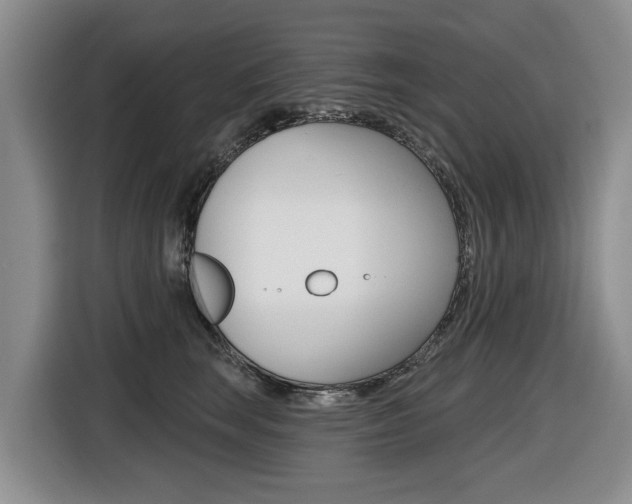 X0000116430663200912081221