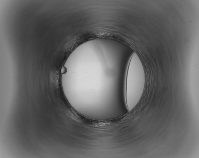 X0000116430664200912081221