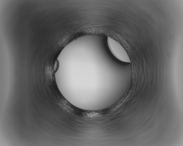 X0000116430669200912081222