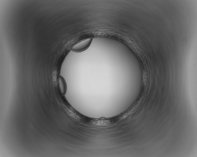 X0000116430670200912081222